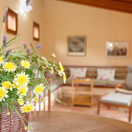 Casa Elvira Semesterbostad *