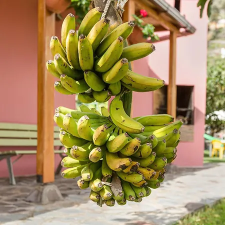 Casa Elvira *
